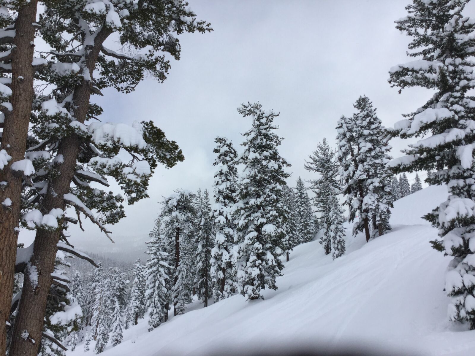 Apple iPod touch sample photo. Mountains, snow, trees, winter photography