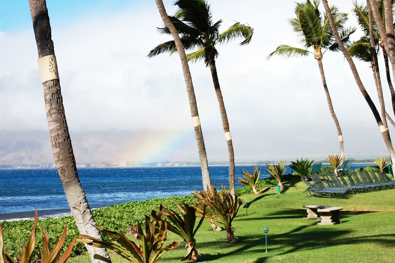 Nikon D40 sample photo. Hawaii, beach, palm trees photography