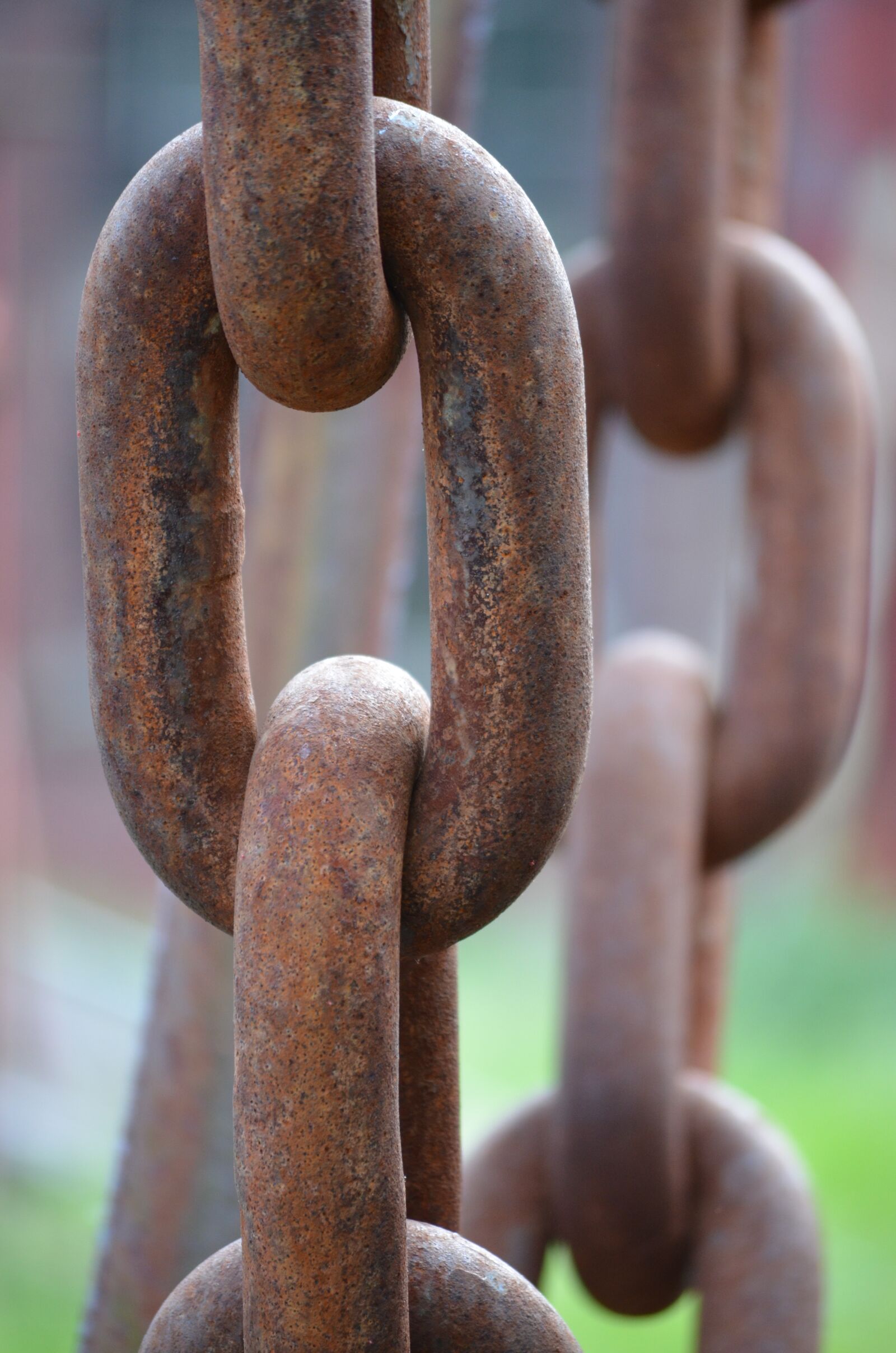 Nikon D5100 sample photo. Chain, iron, rusty photography
