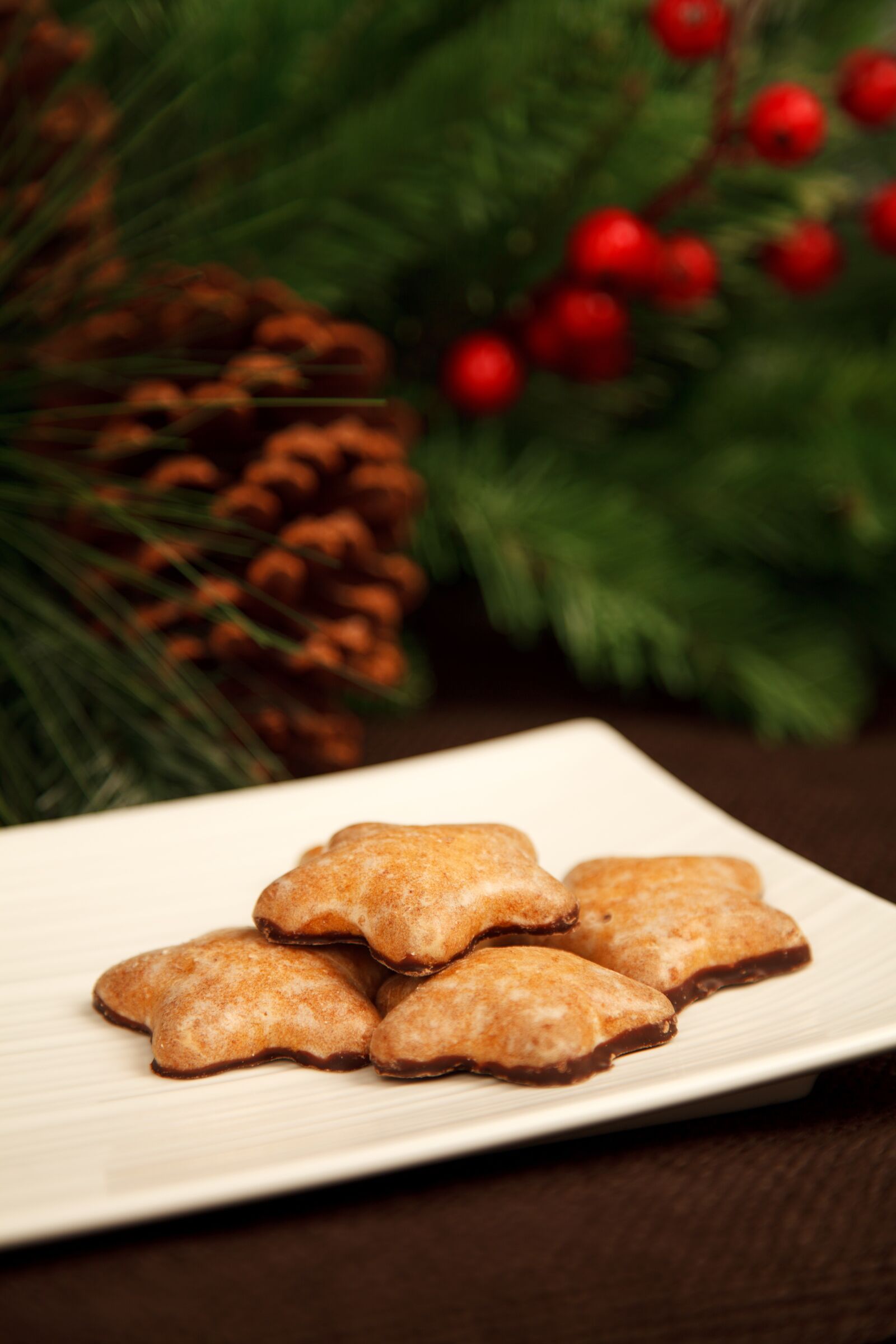 Canon EOS 5D Mark II sample photo. Brown, plate, with, star photography
