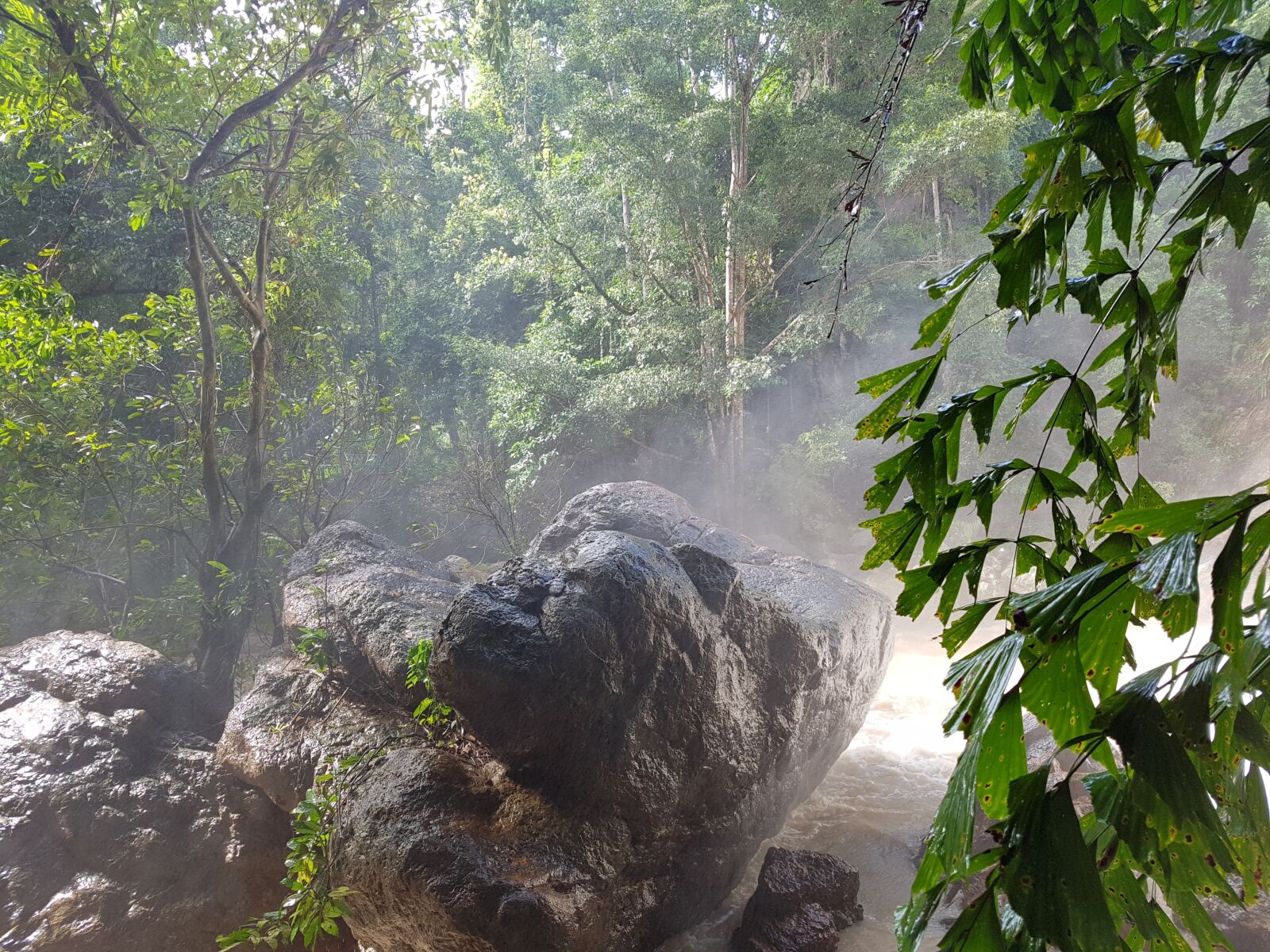 Samsung Galaxy S7 Edge sample photo. Jungle, amzonas, stone photography
