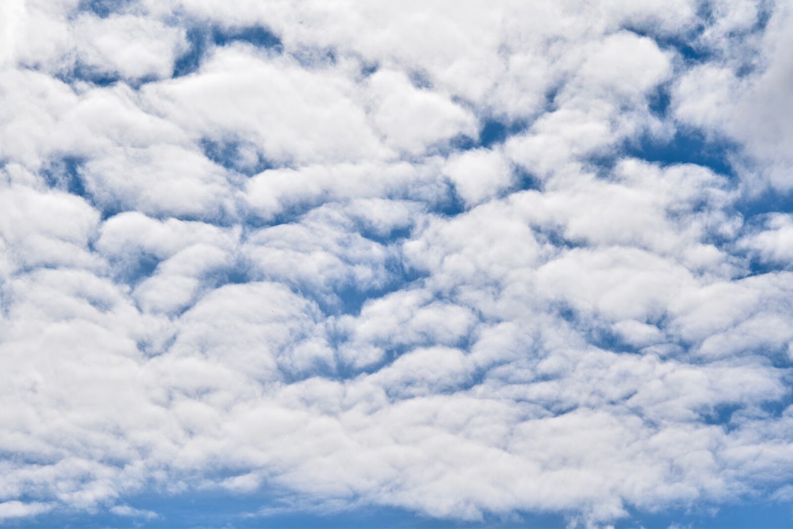 Nikon D5600 sample photo. Clouds, white clouds, cumulus photography