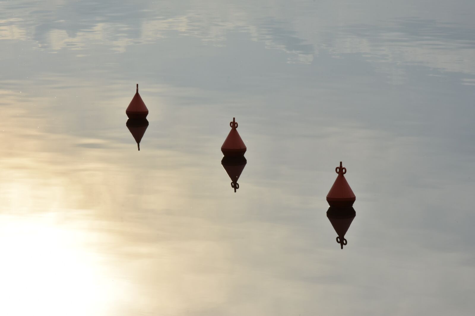 Nikon D7200 sample photo. Lake, water, buoy photography