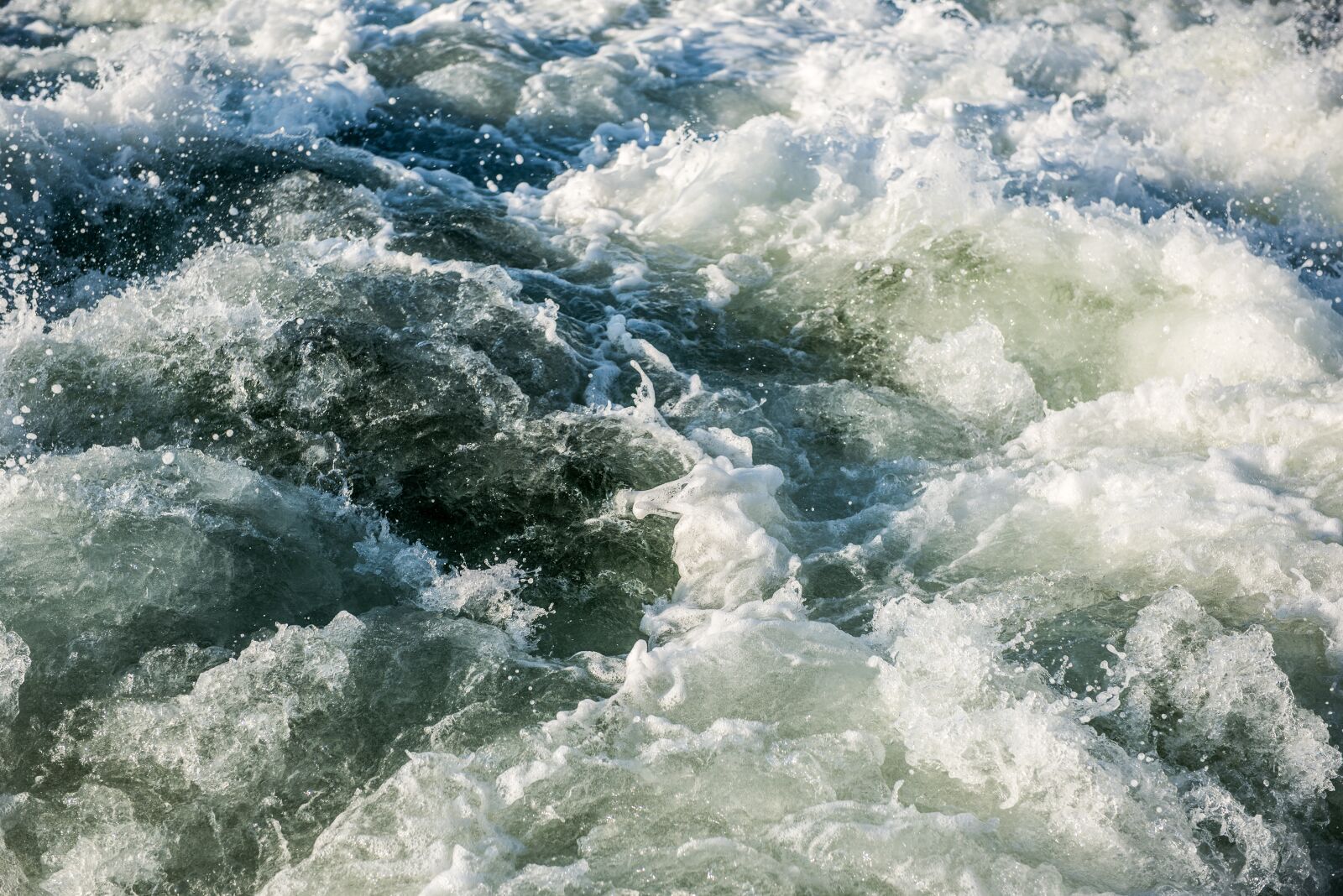 Nikon D810 sample photo. Nature, water, north sea photography
