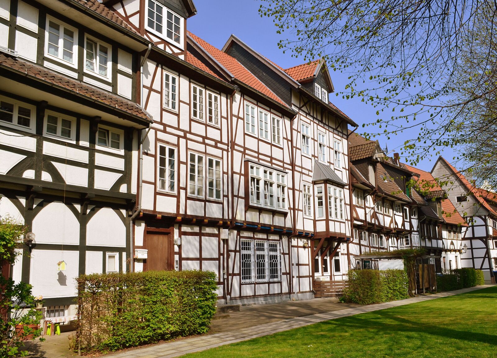 Nikon D5100 sample photo. Truss, facade, historic center photography