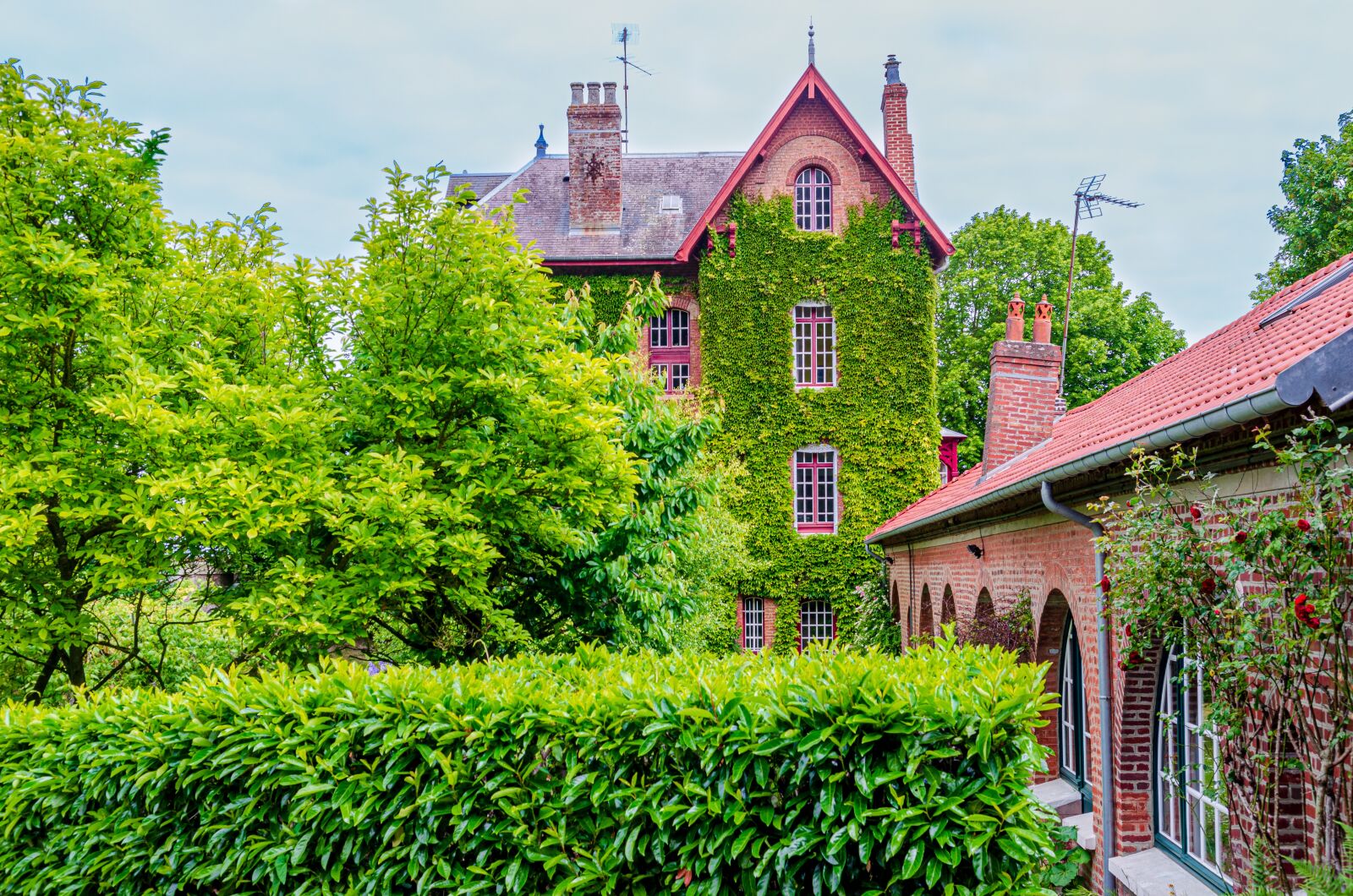 Nikon D7000 sample photo. Architecture, building, ivy photography