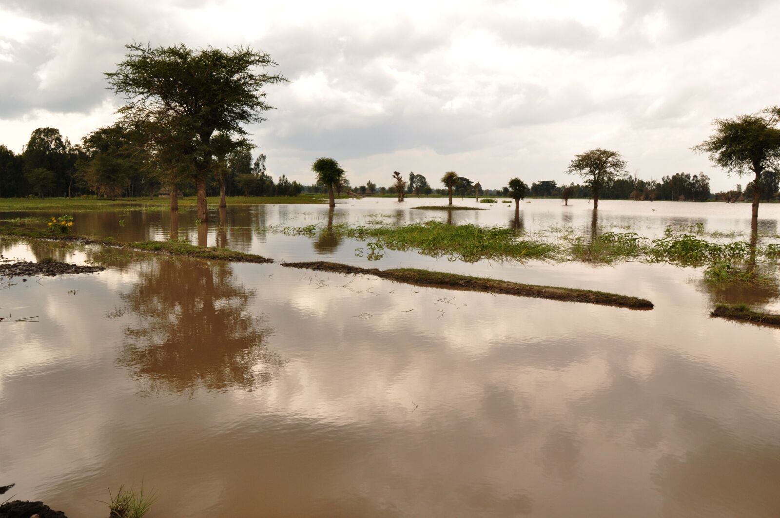 Nikon D90 sample photo. Flood, flooding, wet photography