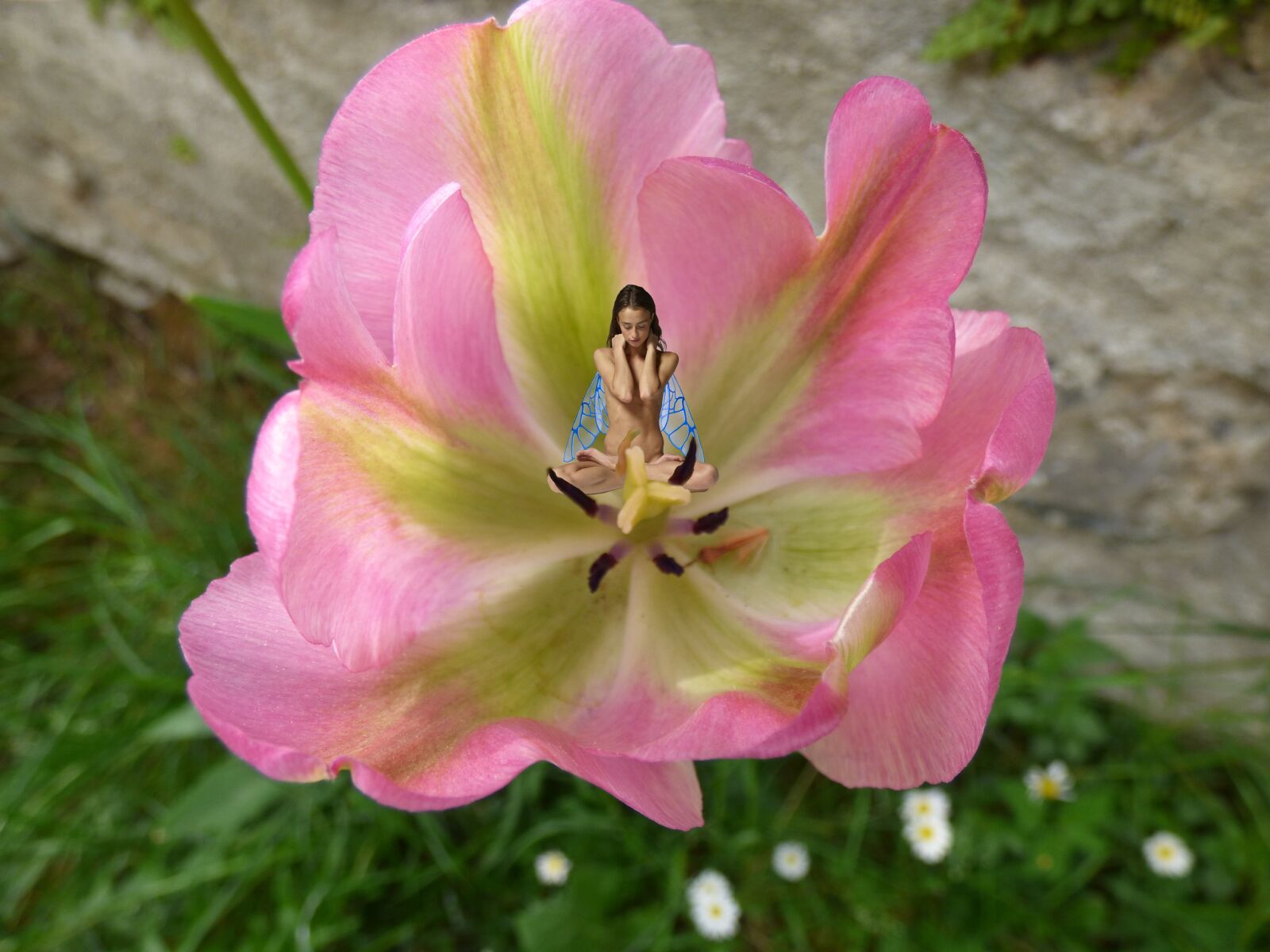 Panasonic DMC-FZ72 sample photo. Fairy, magicworld, do photography