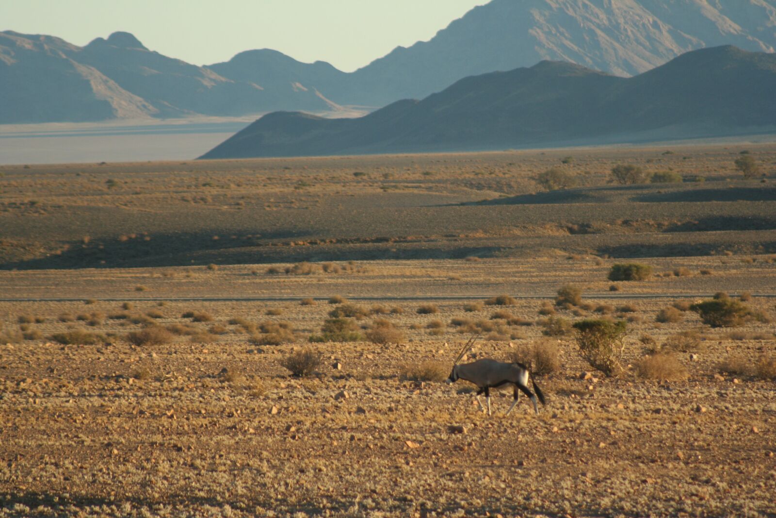 Canon EOS 350D (EOS Digital Rebel XT / EOS Kiss Digital N) sample photo. Oryx, desert, mountain photography