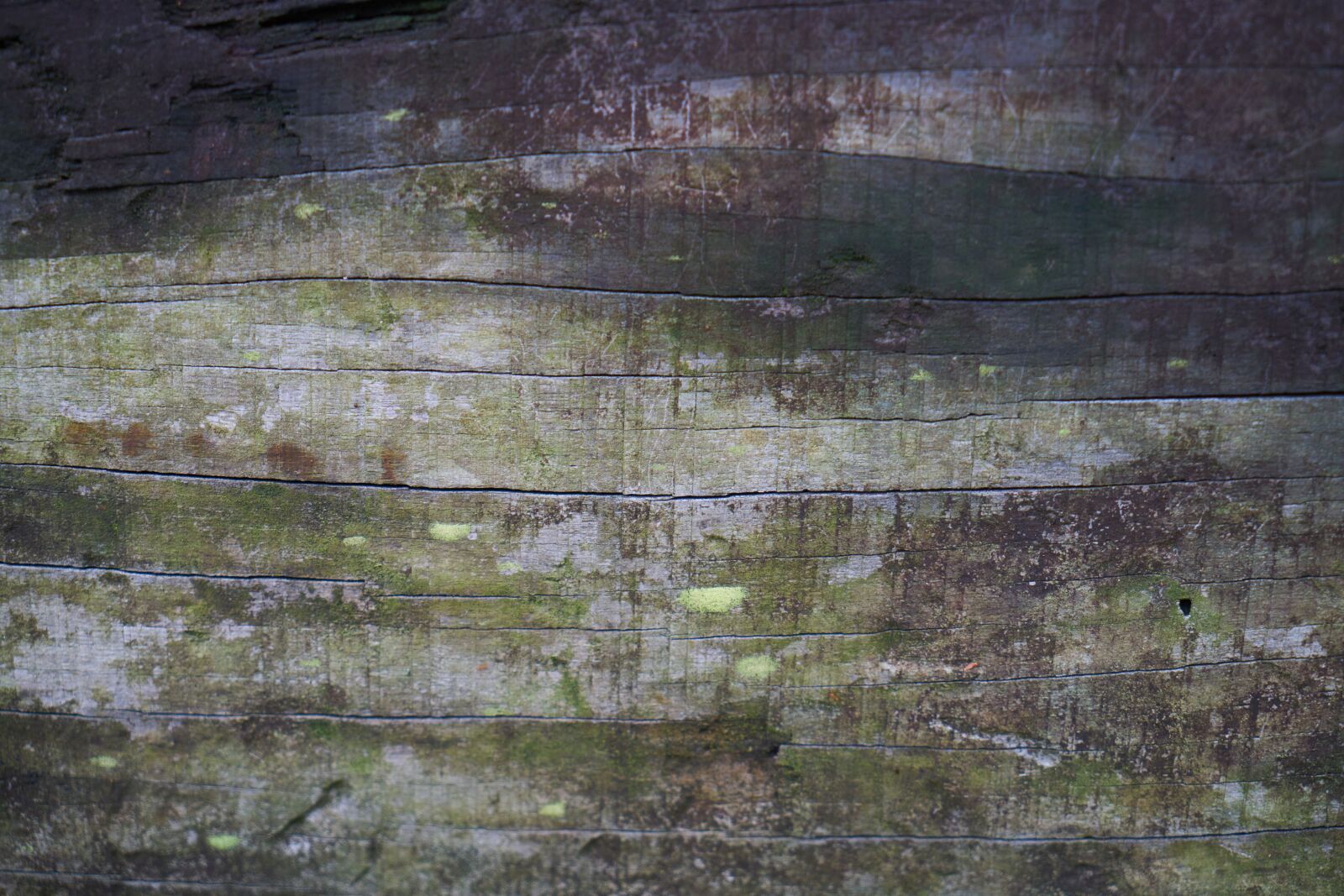 Sony a7R II sample photo. Wood-fibre boards, texture, parquet photography