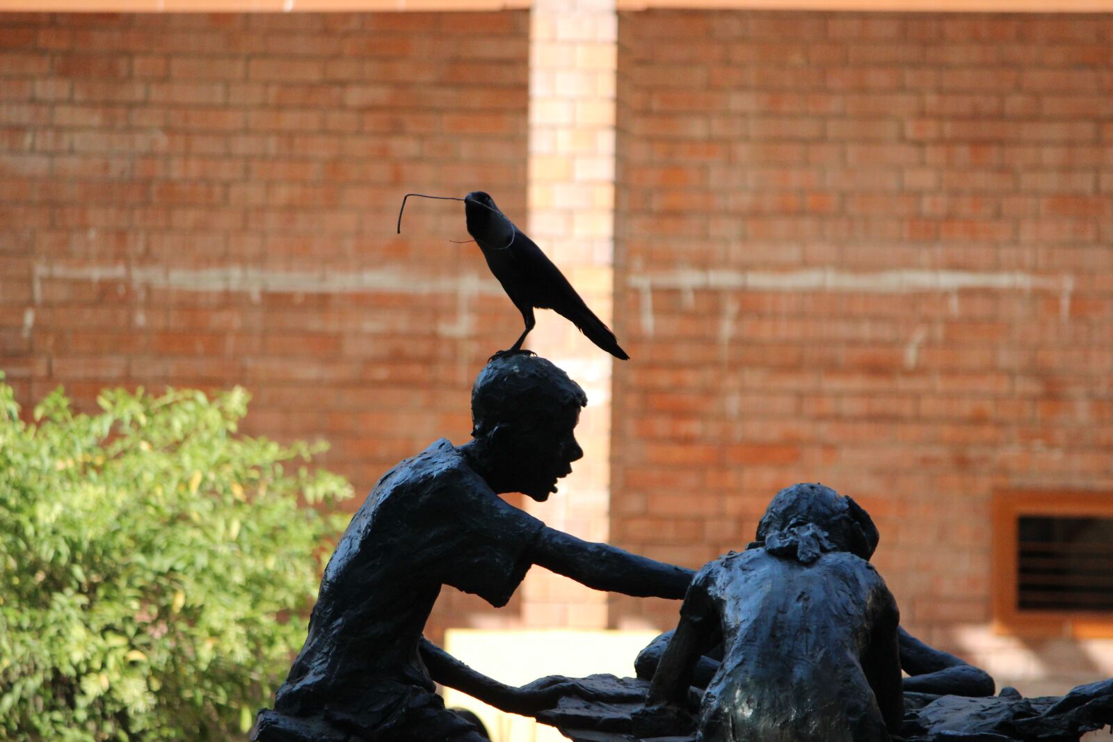 Canon EF-S 55-250mm F4-5.6 IS II sample photo. Crow, birds, statue photography