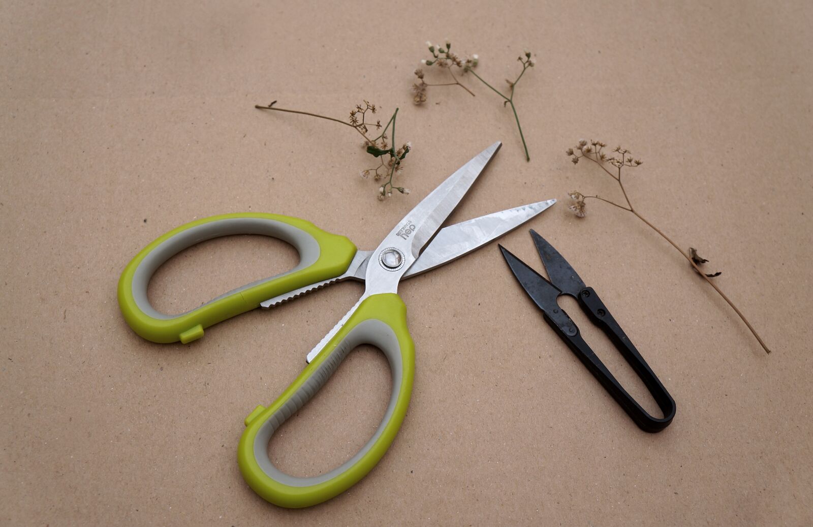 Sony Alpha NEX-F3 + Sony E 18-55mm F3.5-5.6 OSS sample photo. Tools, craft, the scissors photography