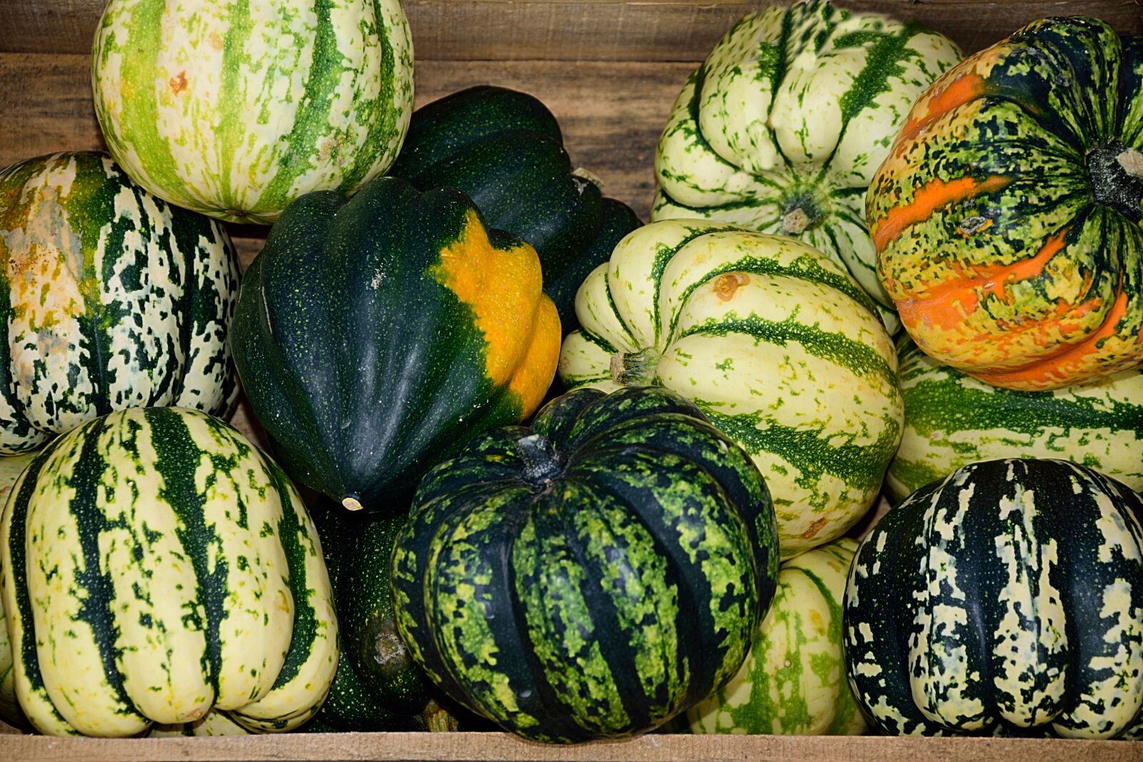 Nikon D3300 sample photo. Pumpkins, gourd, decoration photography