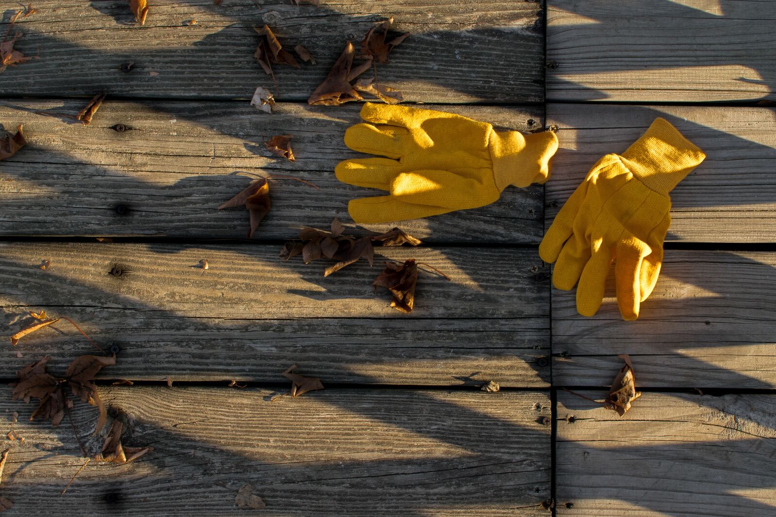 Nikon D3300 sample photo. Wood, wooden, nature photography