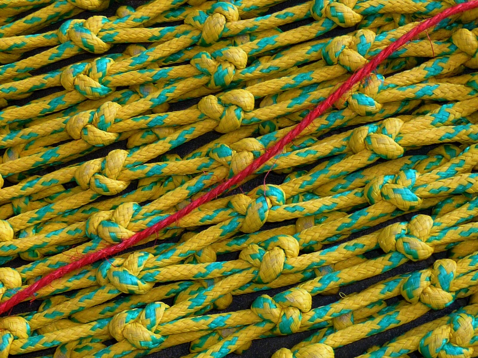 Panasonic DMC-TZ7 sample photo. Fishing net, red thread photography