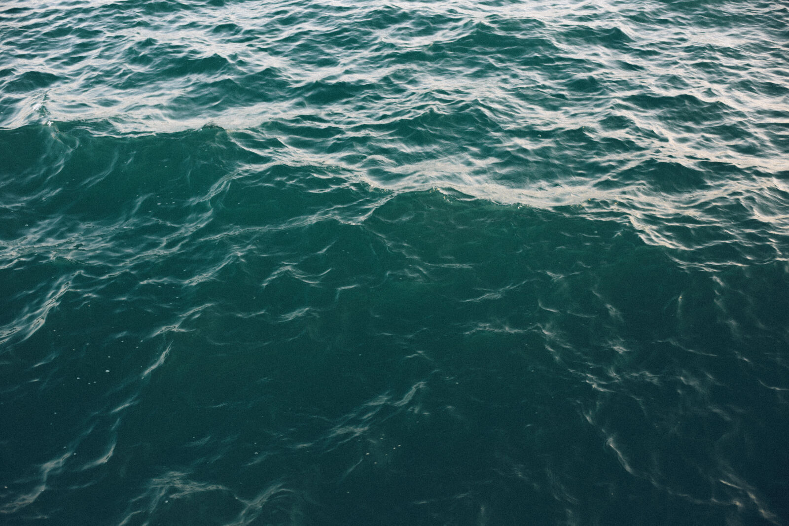 Canon EOS 6D + Canon EF 50mm F1.8 STM sample photo. Deep, h2o, nature, ocean photography