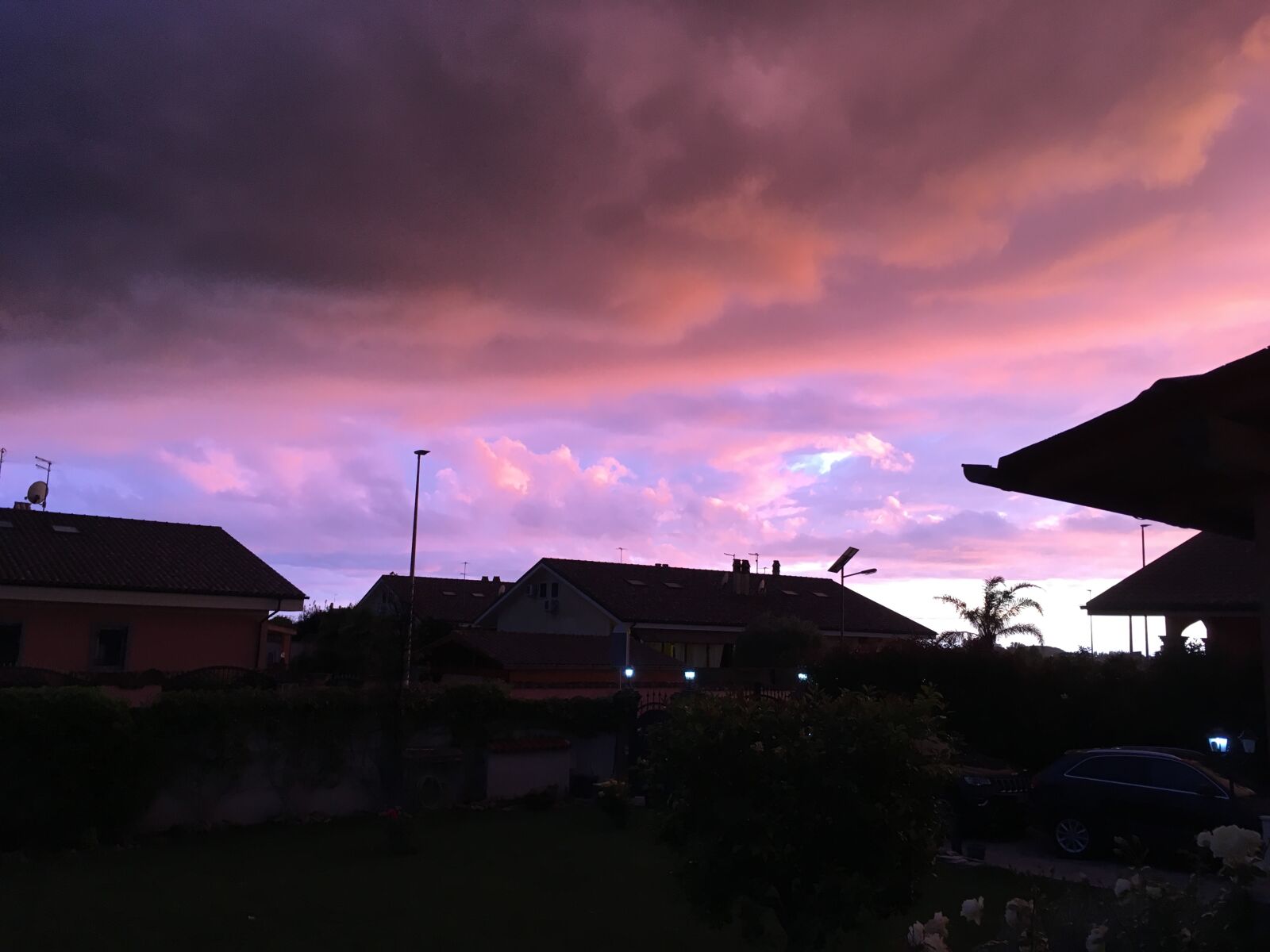 Apple iPhone SE sample photo. Purple, sunset photography