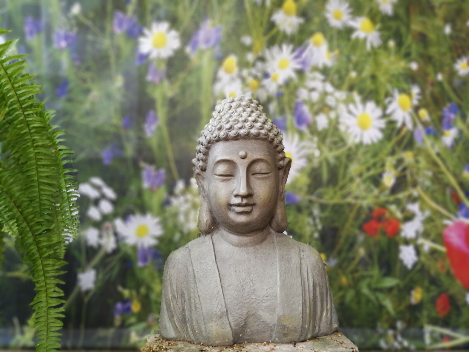 HUAWEI P10 sample photo. Garden, statue, fern photography