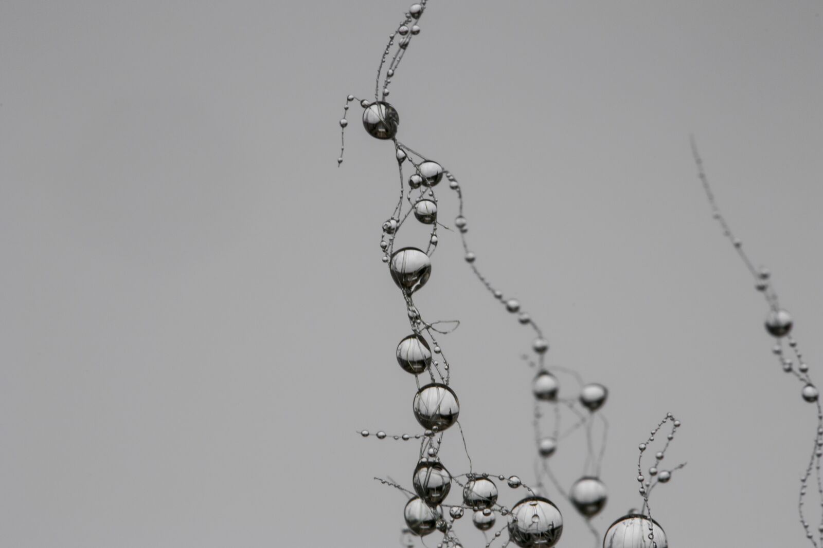 Nikon D3100 sample photo. Drop, network, synapse photography