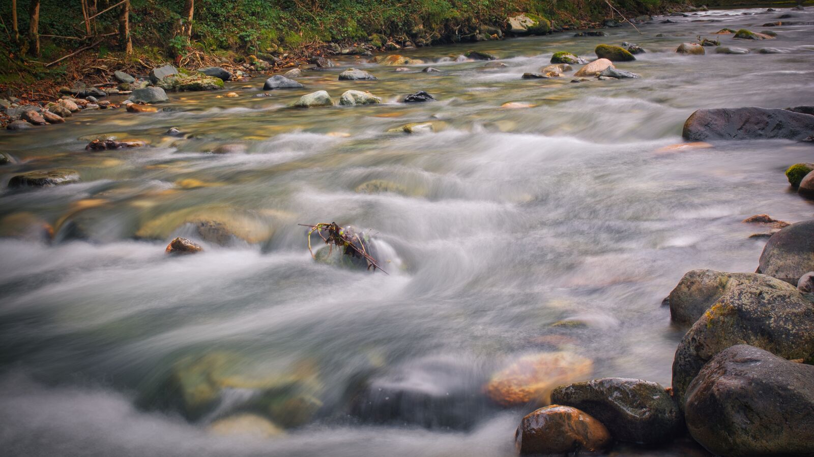 Nikon D7100 sample photo. River, water, environment photography