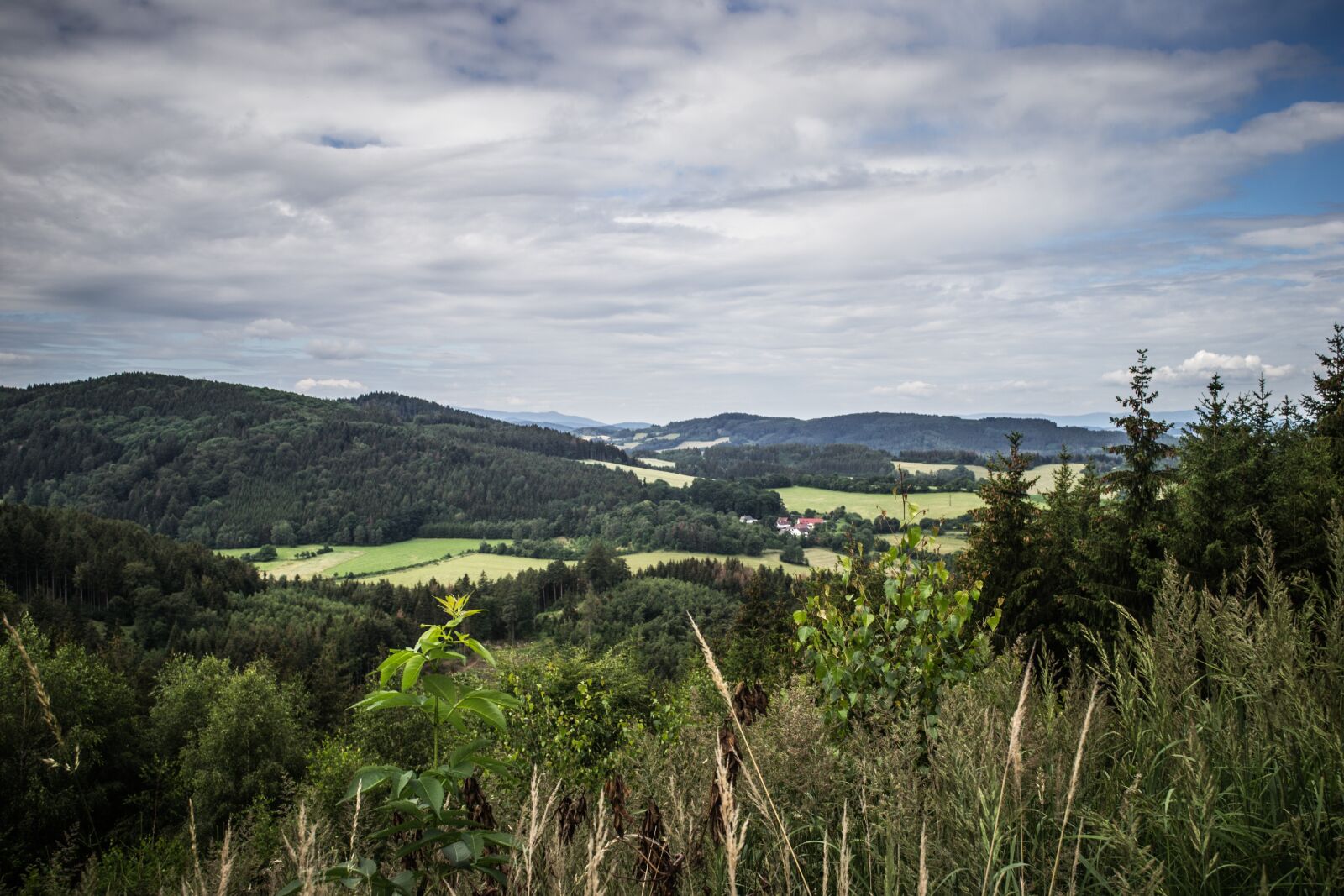 Nikon D3100 sample photo. View, panorama, nature photography