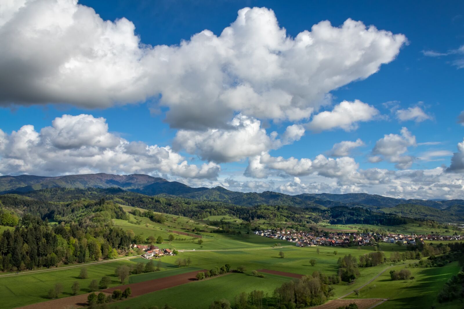 Canon EOS 80D sample photo. Black forest, landscape, nature photography
