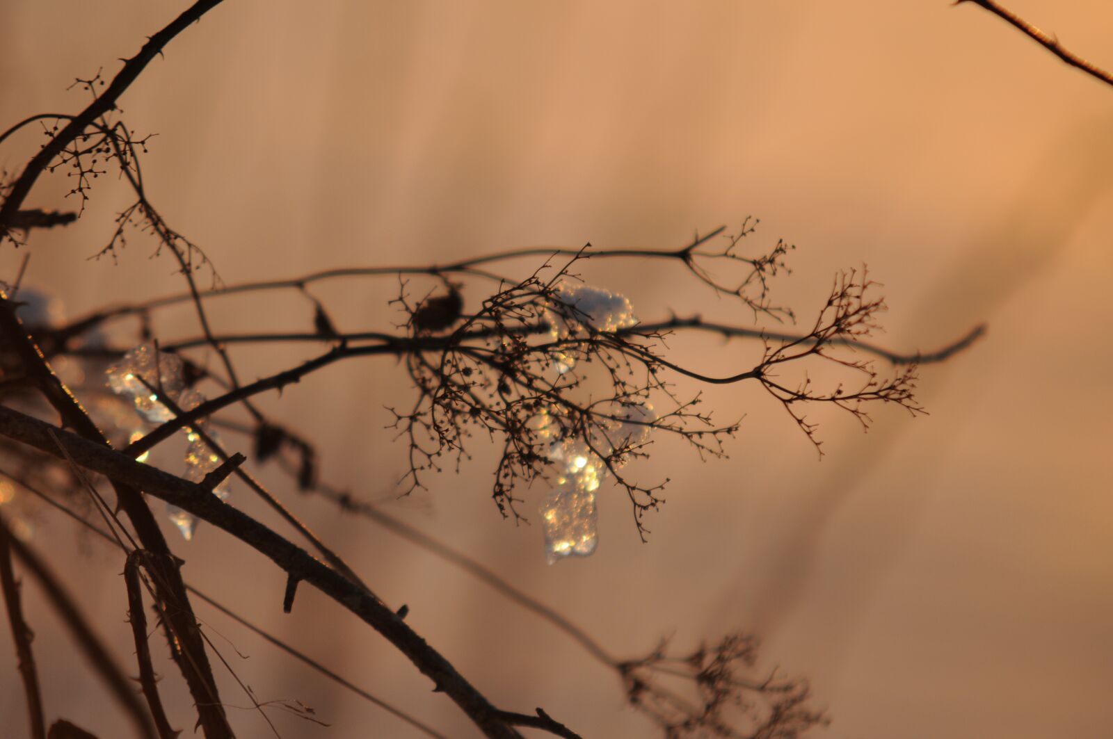 Nikon D300 sample photo. Winter, snow, bridge photography