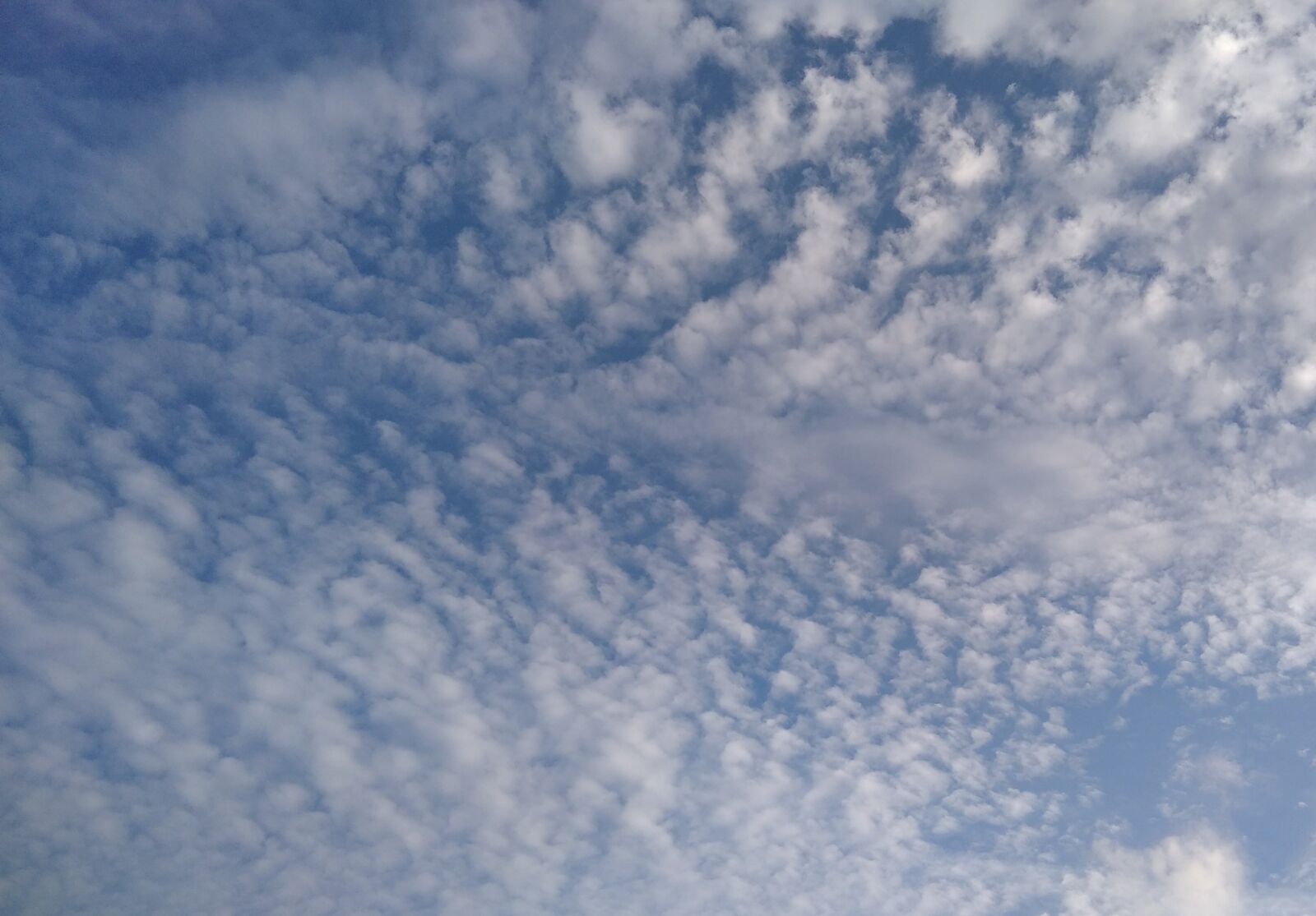 Xiaomi Redmi 8 sample photo. Cloud, sky, nature photography