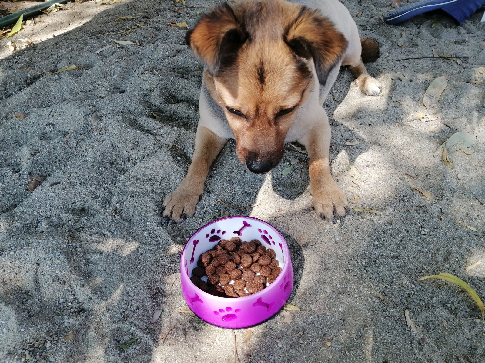 HUAWEI STK-LX1 sample photo