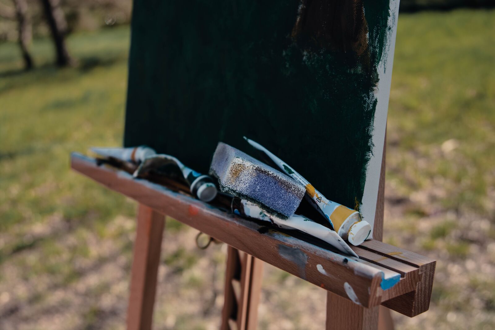 Nikon D5200 sample photo. Painting, girl, brush photography