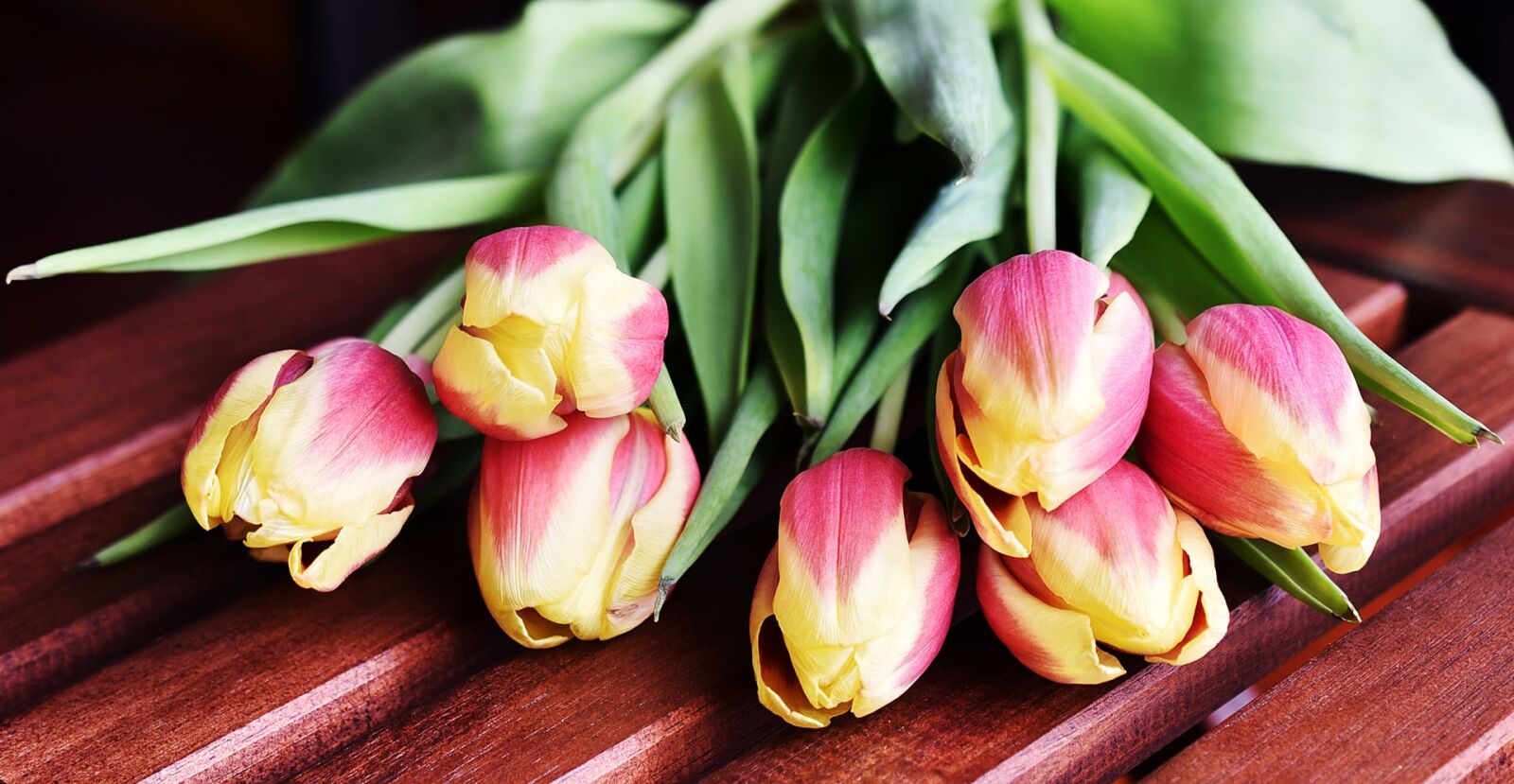 Nikon D750 sample photo. Tulips, flowers, flower photography