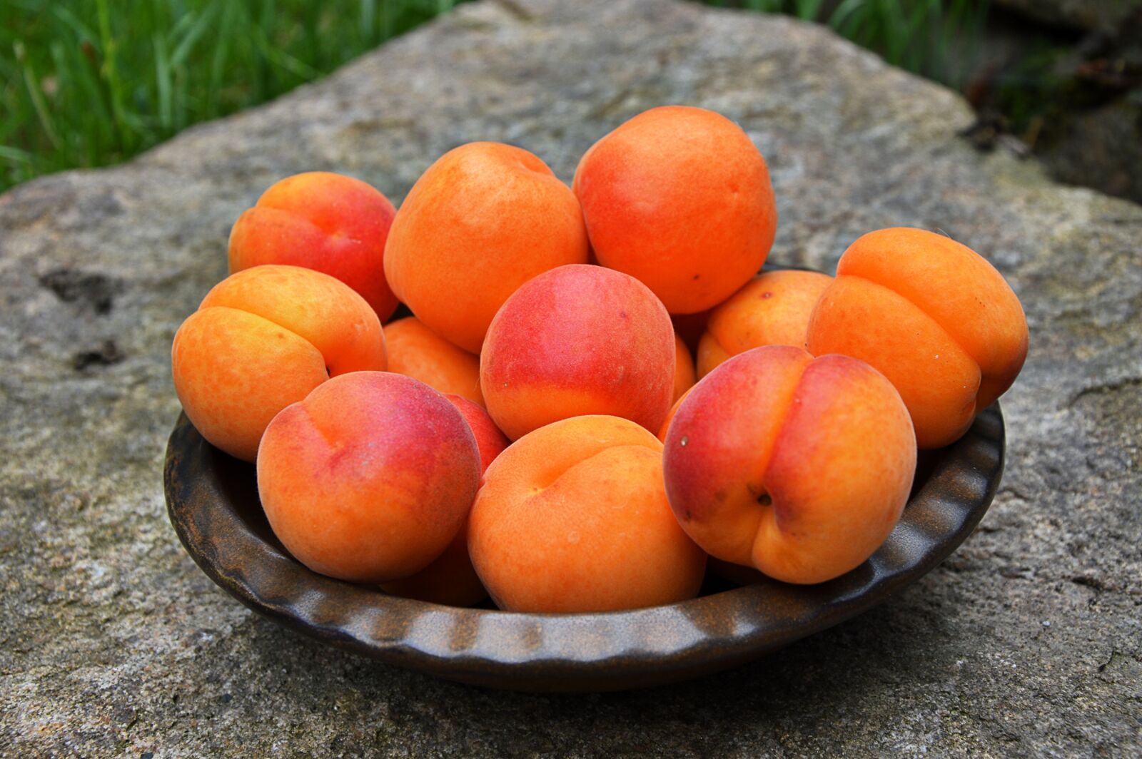 Nikon D3200 sample photo. Apricots, fruit, ripe photography