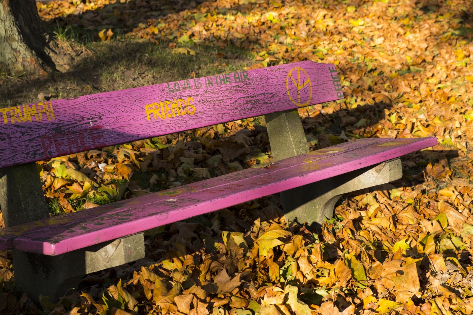 Fujifilm XF 18-55mm F2.8-4 R LM OIS sample photo. Autumn, leaves, bank photography