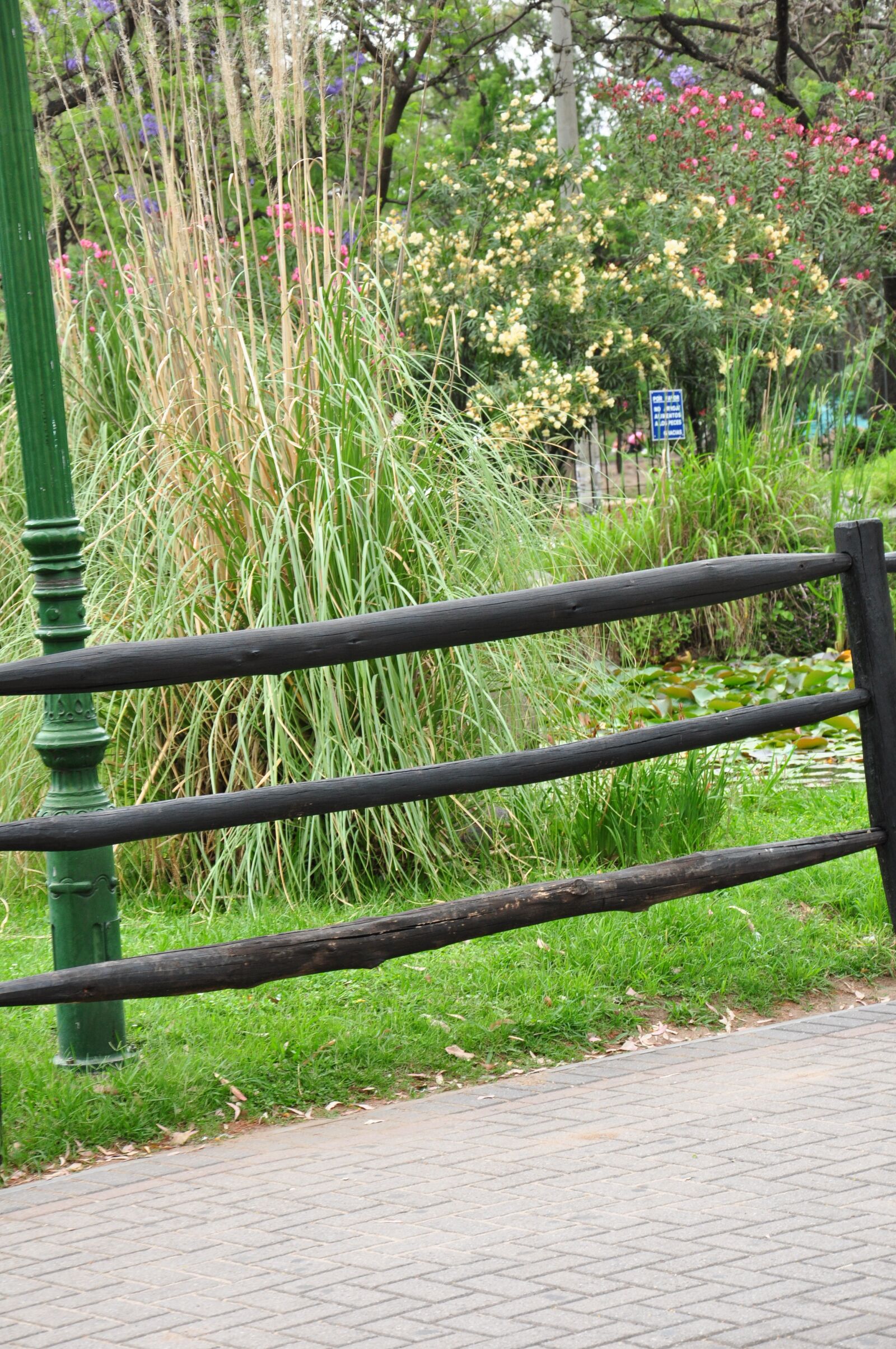 Nikon D90 sample photo. Green, park, nature photography