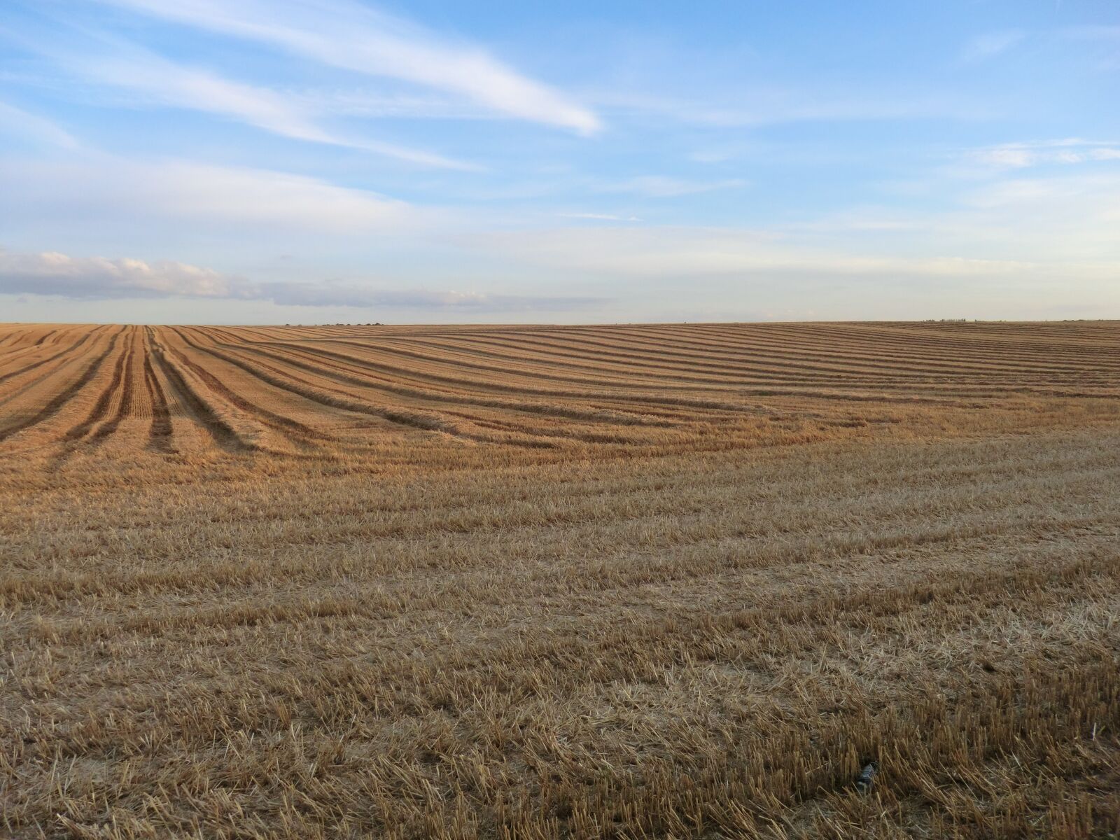 CASIO EX-H20G sample photo. Agro-industry, no person, landscape photography