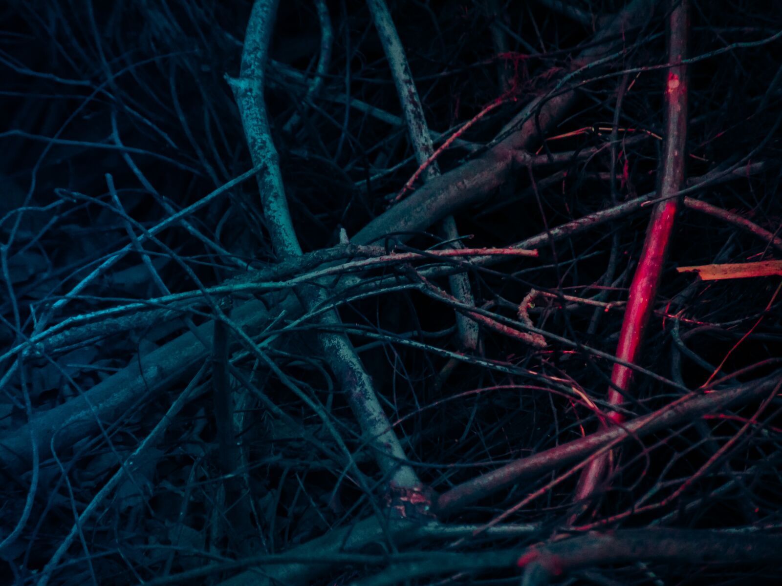 Sony Cyber-shot DSC-H300 sample photo. Blue, red, background photography