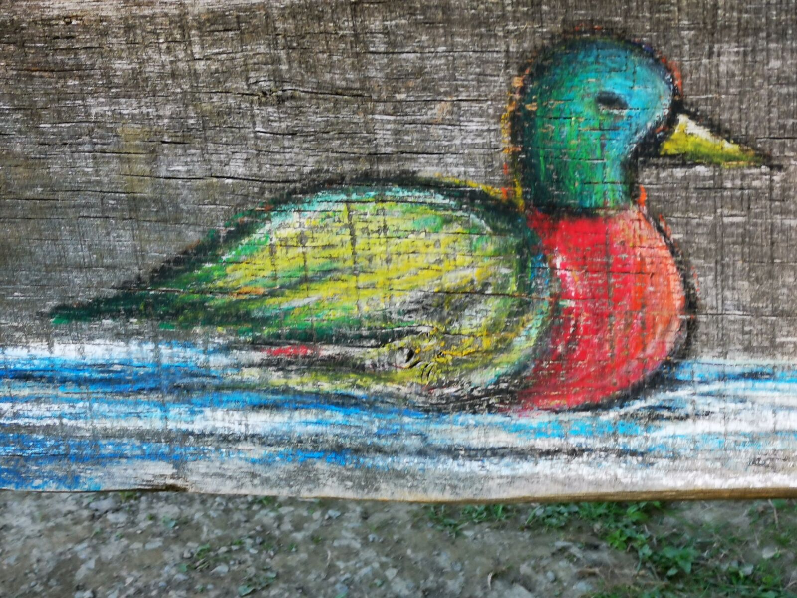 HUAWEI LYA-L29 sample photo. Animal, drawing, chalk photography
