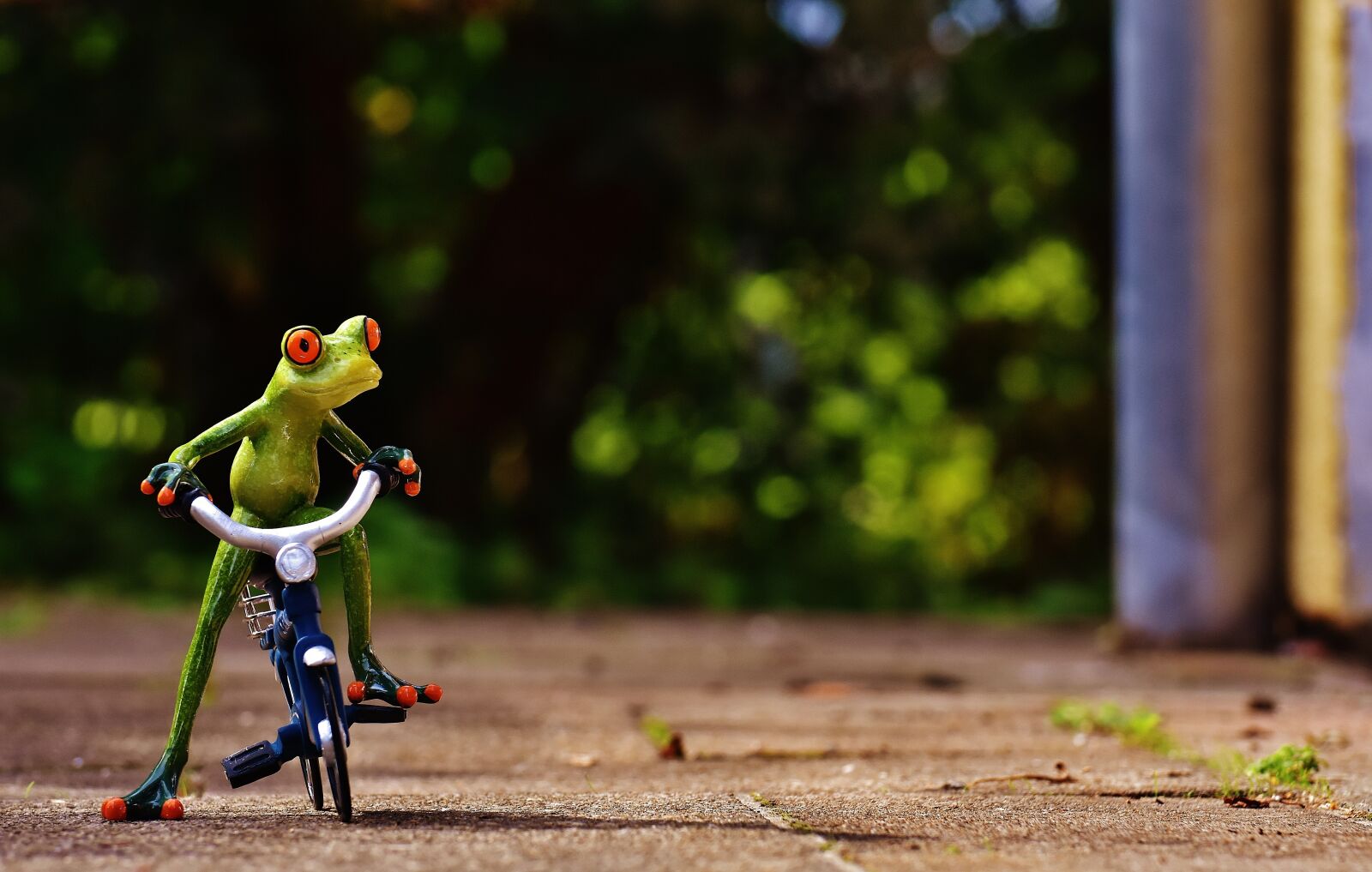 Nikon D7200 sample photo. Frog, bike, funny photography