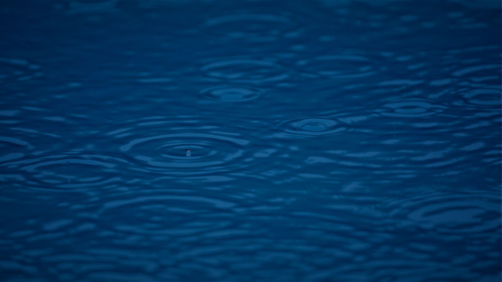 Sony E 70-350mm F4.5-6.3 G OSS sample photo. Drop of water, rain photography