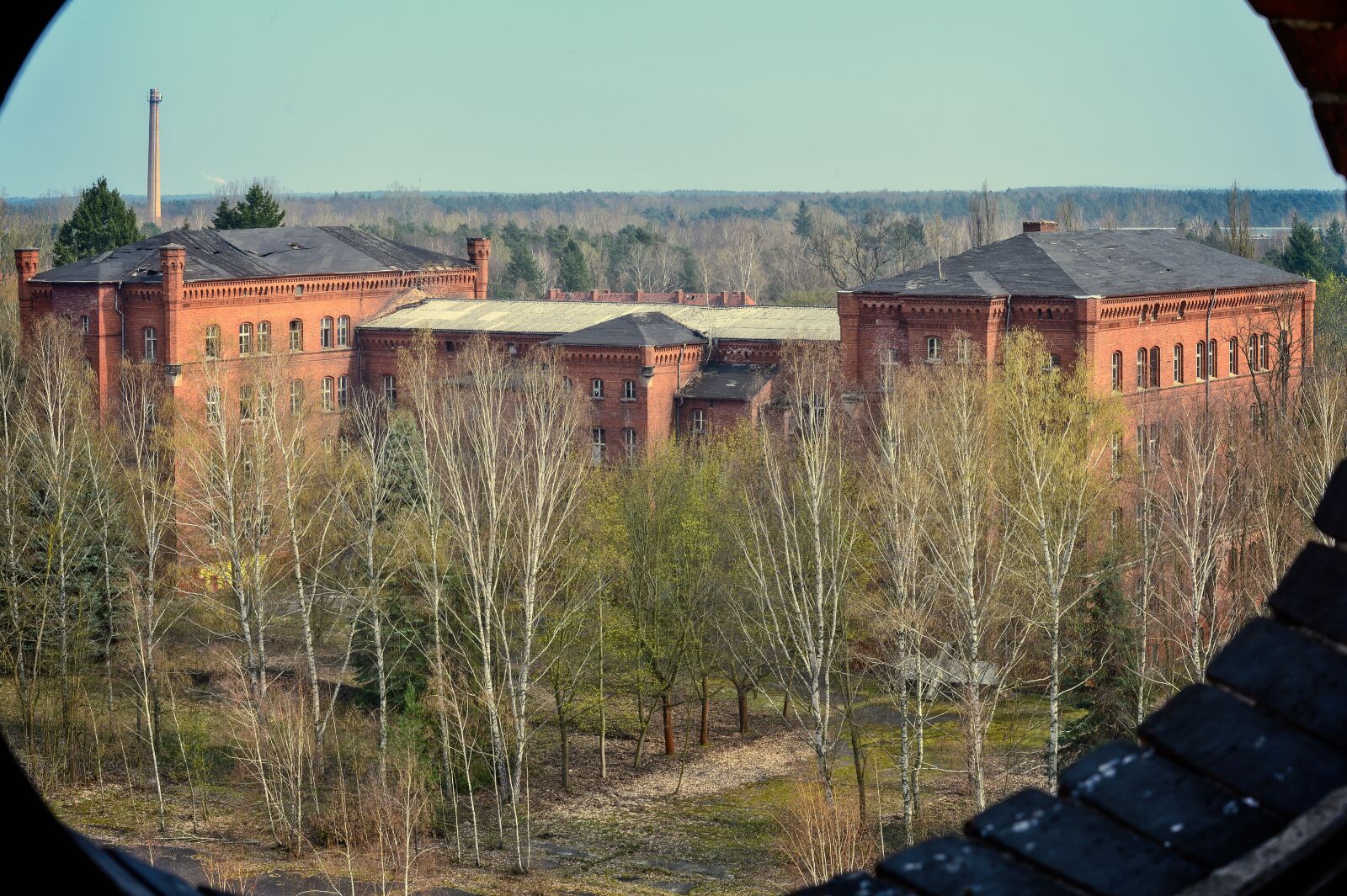 Nikon Z6 sample photo. Lost places, barracks, institute photography