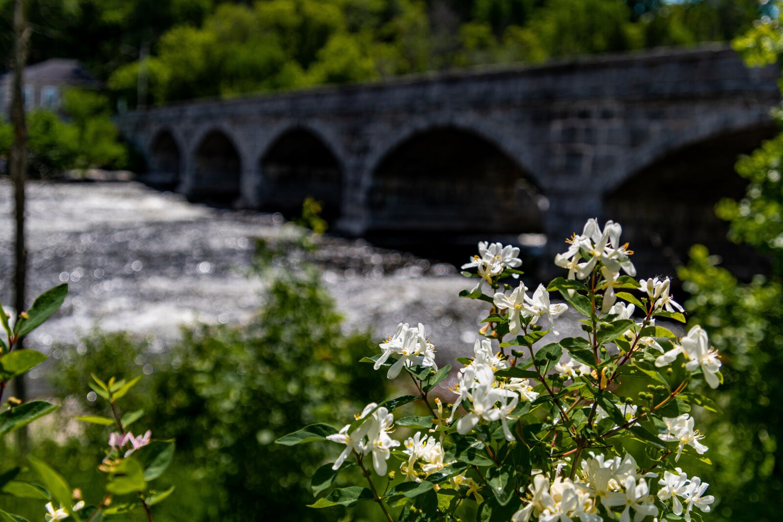 Nikon D500 sample photo. Pakenham ontario, stone bridge photography