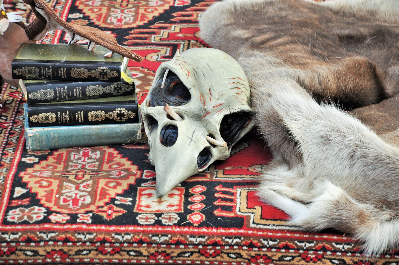 Nikon D90 sample photo. Magic, witchcraft, pentagram photography