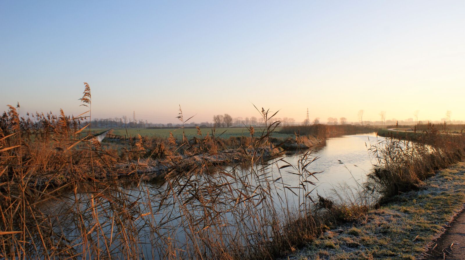 Sony Alpha DSLR-A350 sample photo. Cold, water, reed photography