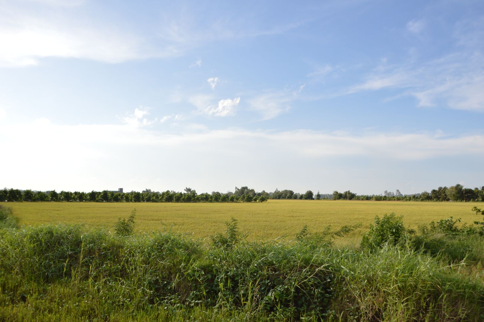 Nikon D3200 sample photo. Farm, vietnamese, farmer photography