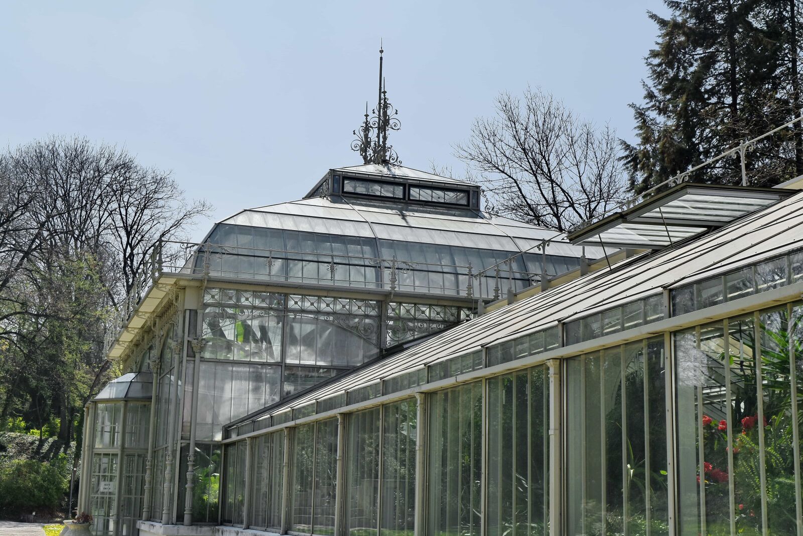 Nikon D5500 sample photo. Botanical, capital city, garden photography