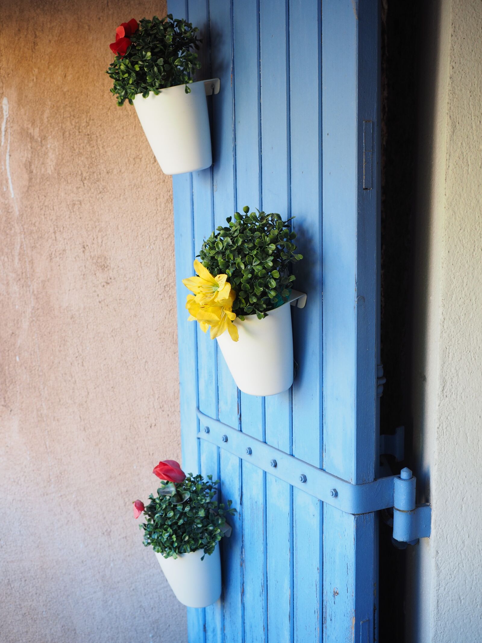 Olympus OM-D E-M1 + Olympus M.Zuiko Digital ED 12-40mm F2.8 Pro sample photo. Flowers, door, flower pots photography