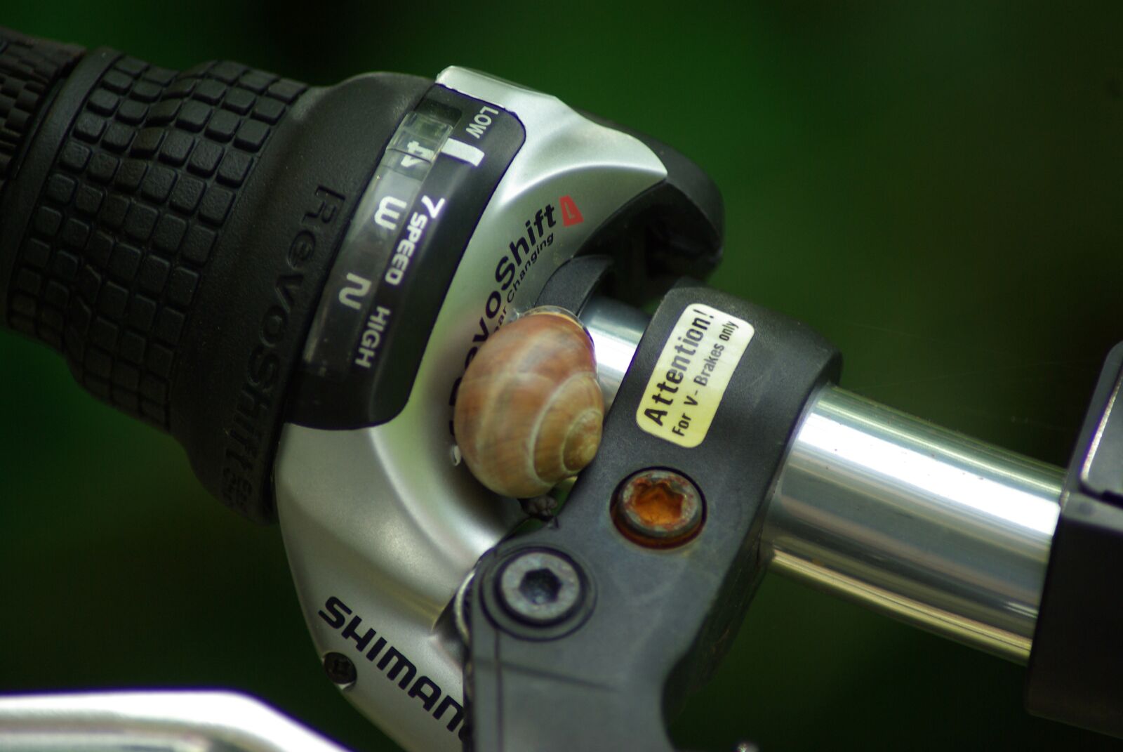 Samsung GX-10 sample photo. Bicycle, handlebar, snail photography