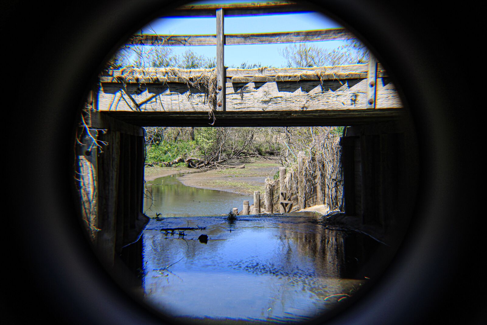 Canon EOS 4000D (EOS Rebel T100 / EOS 3000D) sample photo. Bridge, water, usa photography