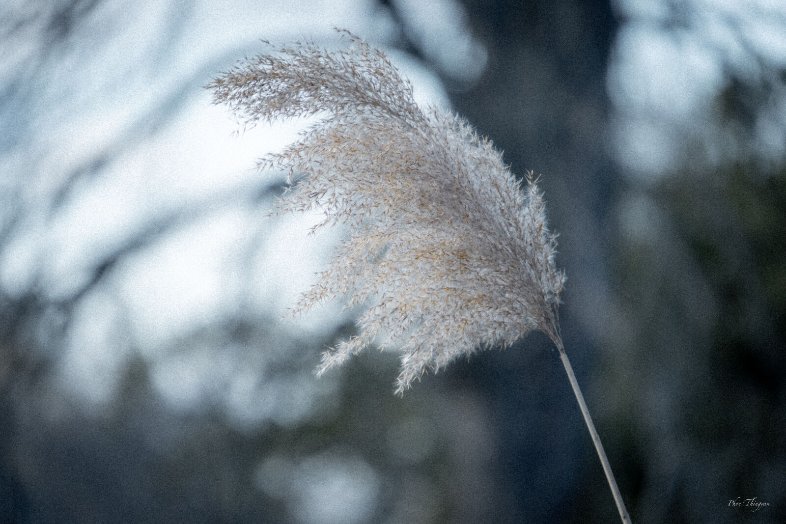 Fujifilm X-T5 sample photo