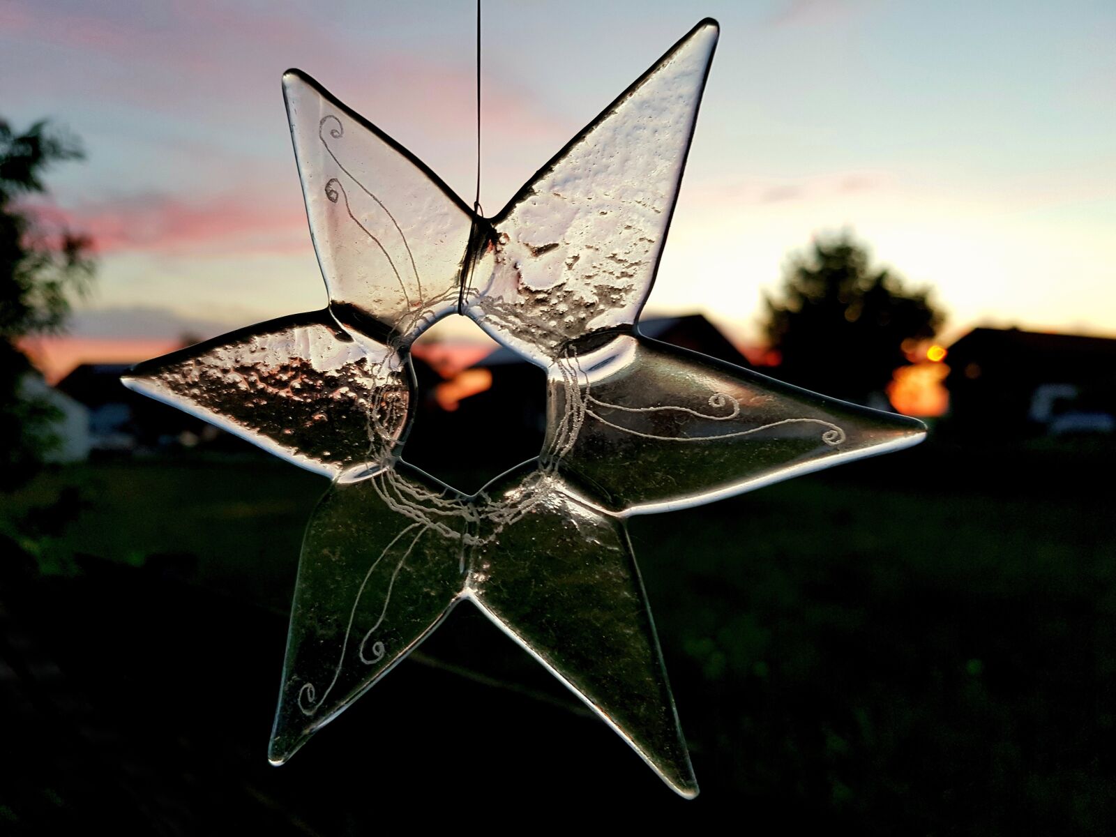 Samsung Galaxy S7 Edge sample photo. Star, flower, glass photography